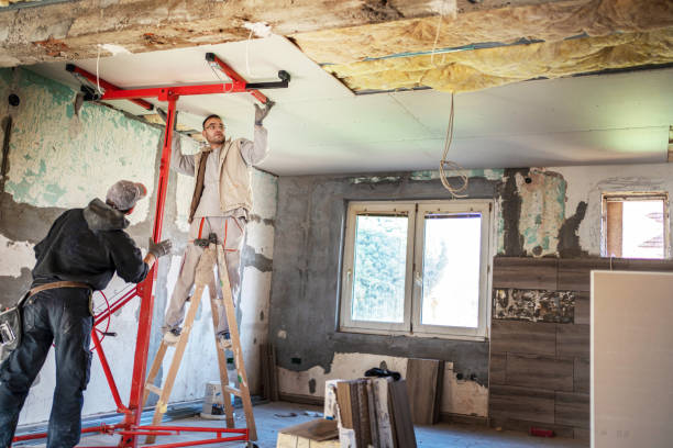 Best Insulation for New Construction  in St John, MO