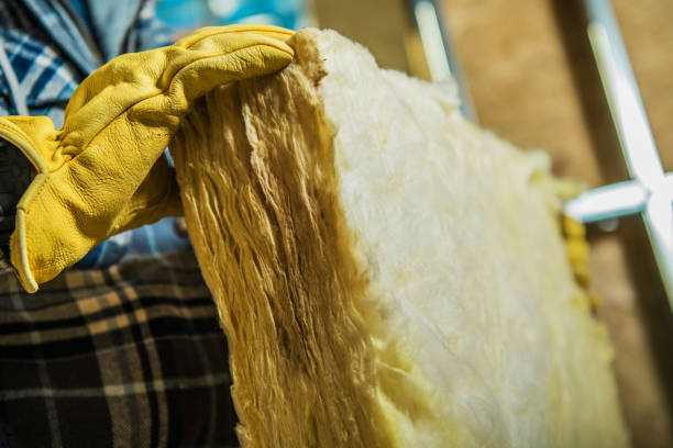 Best Local Insulation Services  in St John, MO