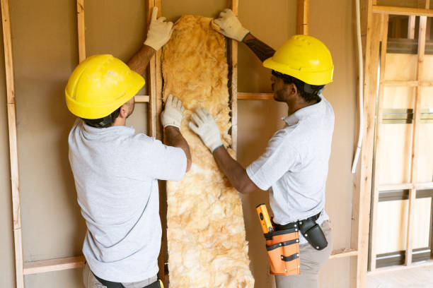 Best Insulation Contractors for Homes  in St John, MO