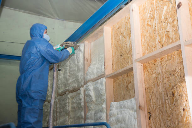 Best Soundproof Insulation Installation  in St John, MO