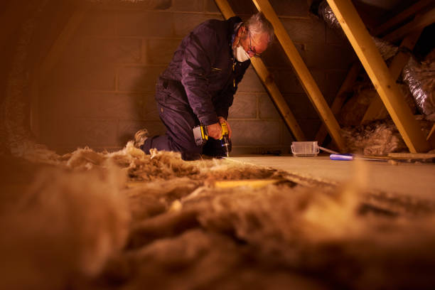 Best Professional Insulation Contractor  in St John, MO